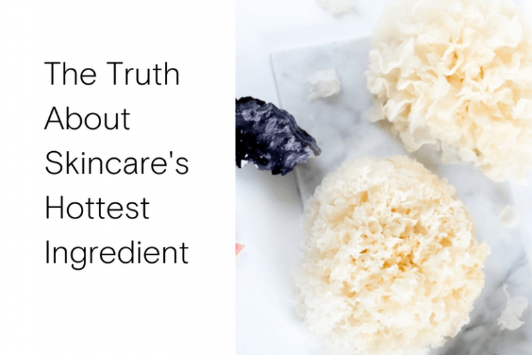 Copy of Blog Header 5