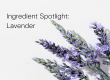 Lavender Oil