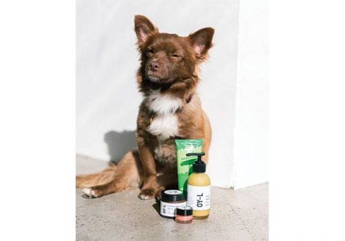 The Skincare Benefits of Manuka Honey + An Exciting Product Giveaway! The Skincare Benefits of Manuka Honey + An Exciting Product Giveaway!