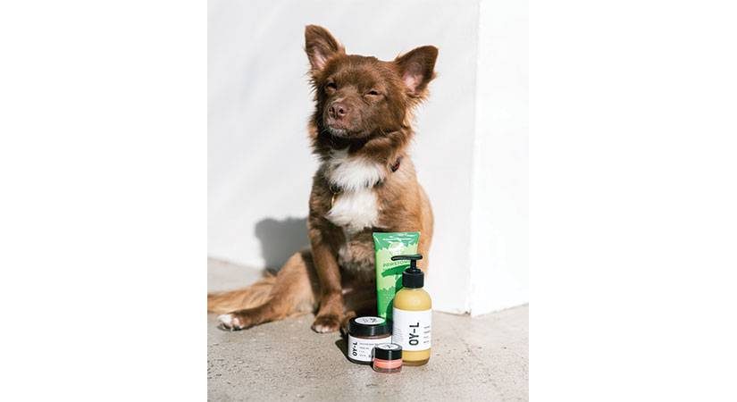 The Skincare Benefits of Manuka Honey + An Exciting Product Giveaway! The Skincare Benefits of Manuka Honey + An Exciting Product Giveaway!